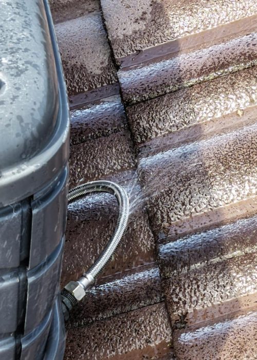 WhatsApp Image 2026-03-27 at 3.41.48 AM