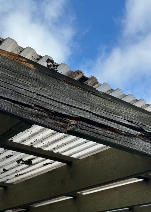 WhatsApp Image 2026-03-27 at 3.41.49 AM (1)