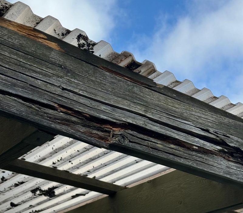 WhatsApp Image 2026-03-27 at 3.41.49 AM (1)